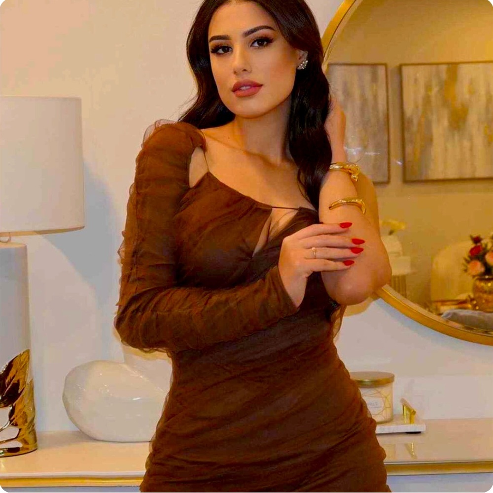 Zara Brown Mesh Cut Out Asymmetrical One Shoulder Dress